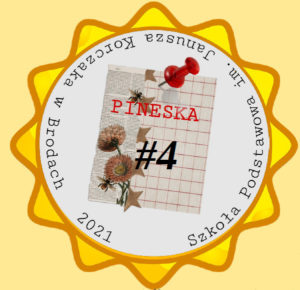 Logo e-pineski